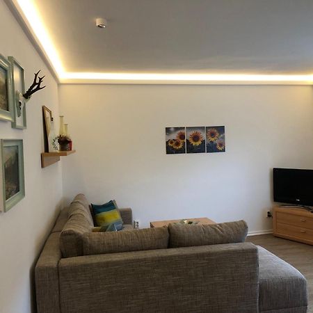 Apartmán Harzquerbahnblick Benneckenstein Exteriér fotografie