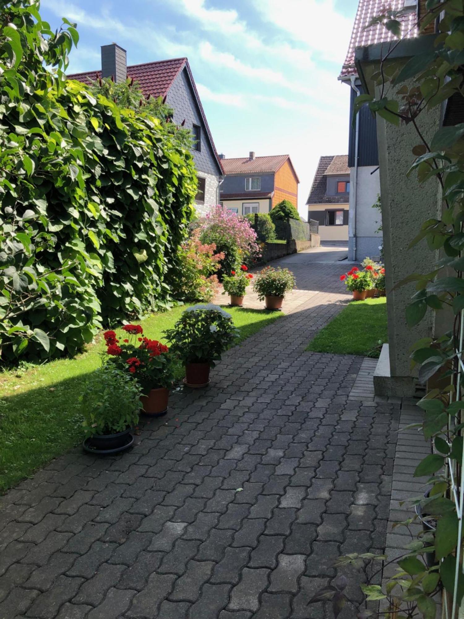 Apartmán Harzquerbahnblick Benneckenstein Exteriér fotografie