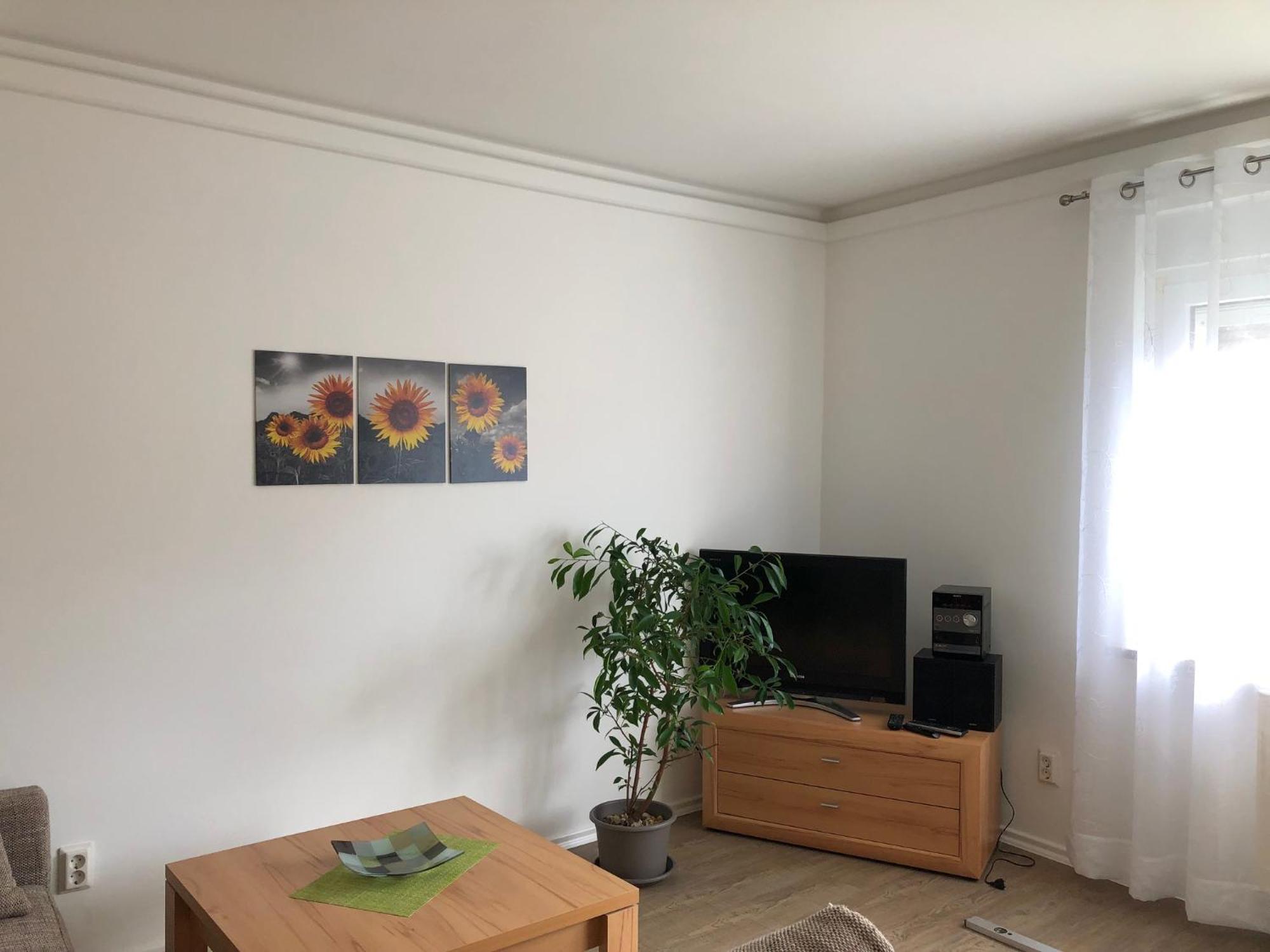 Apartmán Harzquerbahnblick Benneckenstein Exteriér fotografie